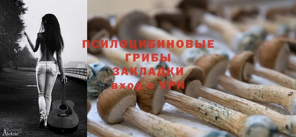 гашик Абинск