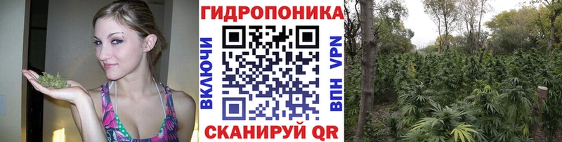 Марихуана Ganja  Шилка 